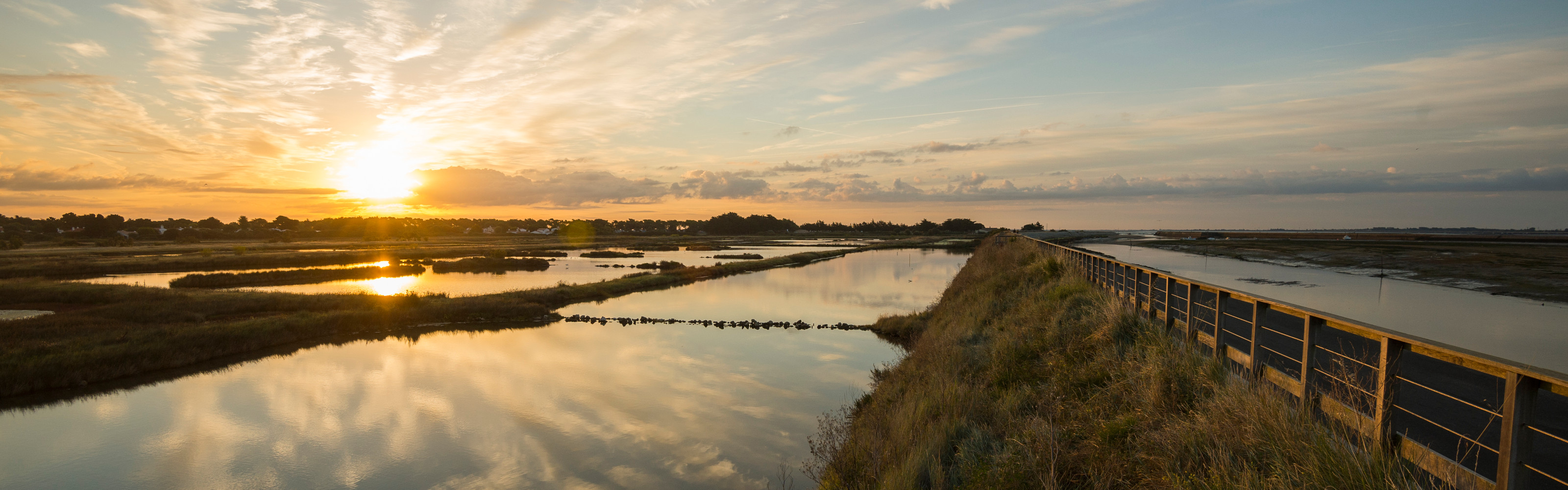 Marais de Mullëmbourg réserve naturelle de Noirmoutier